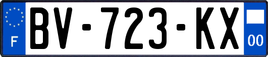 BV-723-KX