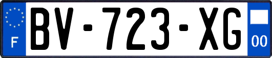 BV-723-XG