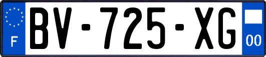 BV-725-XG
