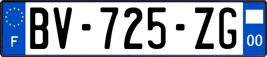 BV-725-ZG