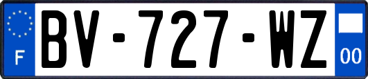 BV-727-WZ