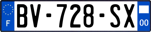 BV-728-SX