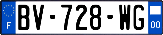 BV-728-WG