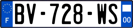 BV-728-WS