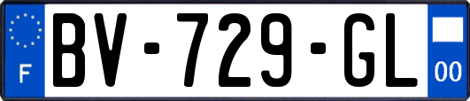 BV-729-GL