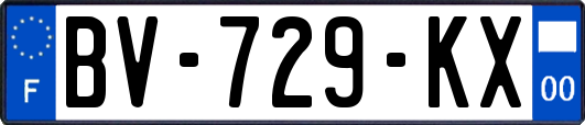 BV-729-KX