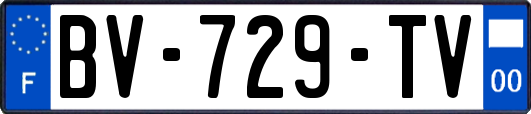 BV-729-TV