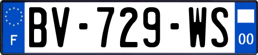 BV-729-WS