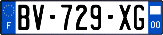 BV-729-XG