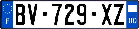 BV-729-XZ