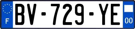 BV-729-YE