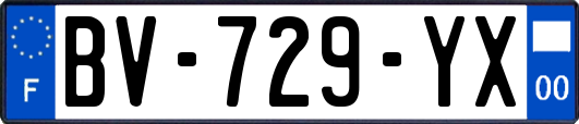 BV-729-YX