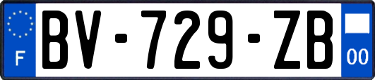 BV-729-ZB