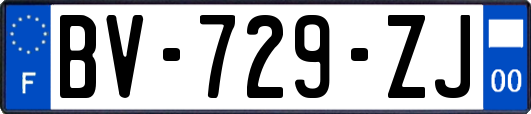 BV-729-ZJ