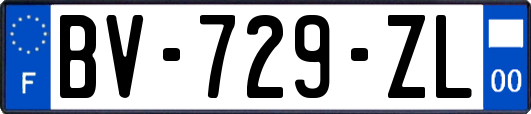 BV-729-ZL