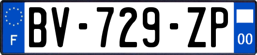 BV-729-ZP