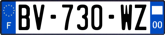 BV-730-WZ