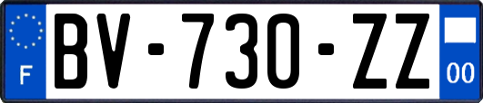 BV-730-ZZ