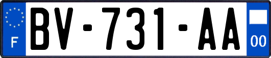 BV-731-AA