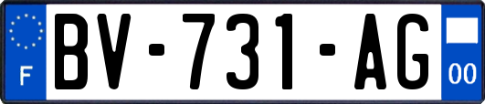 BV-731-AG