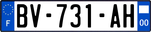 BV-731-AH