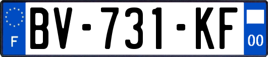 BV-731-KF