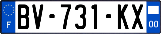 BV-731-KX