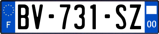 BV-731-SZ