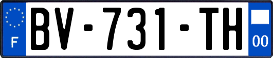 BV-731-TH