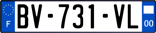 BV-731-VL