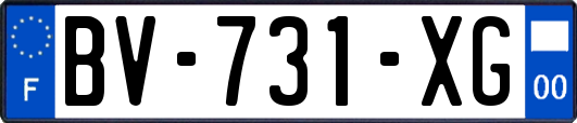 BV-731-XG