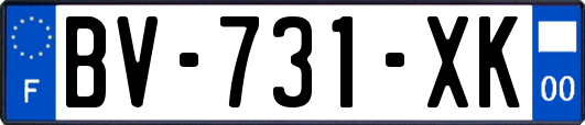 BV-731-XK