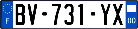 BV-731-YX