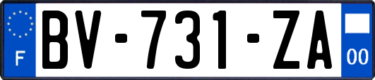 BV-731-ZA