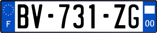 BV-731-ZG