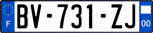 BV-731-ZJ