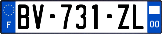 BV-731-ZL