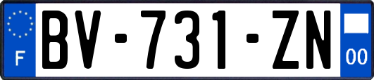 BV-731-ZN