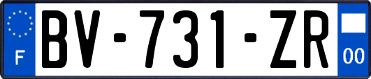 BV-731-ZR