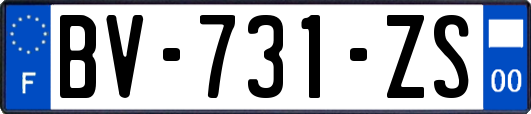 BV-731-ZS