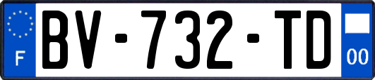 BV-732-TD