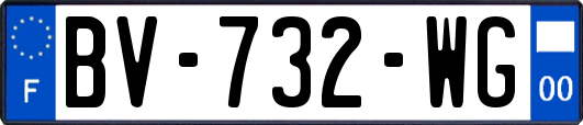 BV-732-WG