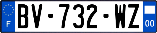 BV-732-WZ