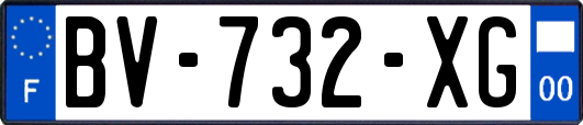 BV-732-XG