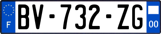 BV-732-ZG