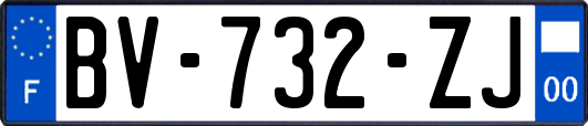 BV-732-ZJ