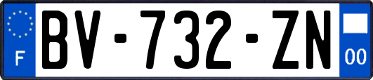 BV-732-ZN