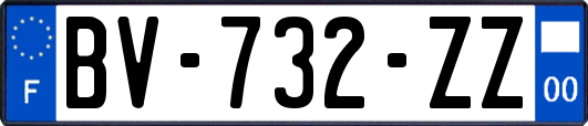 BV-732-ZZ