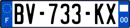 BV-733-KX