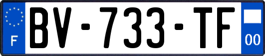 BV-733-TF